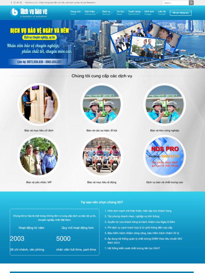 Mẫu website dịch vụ 014