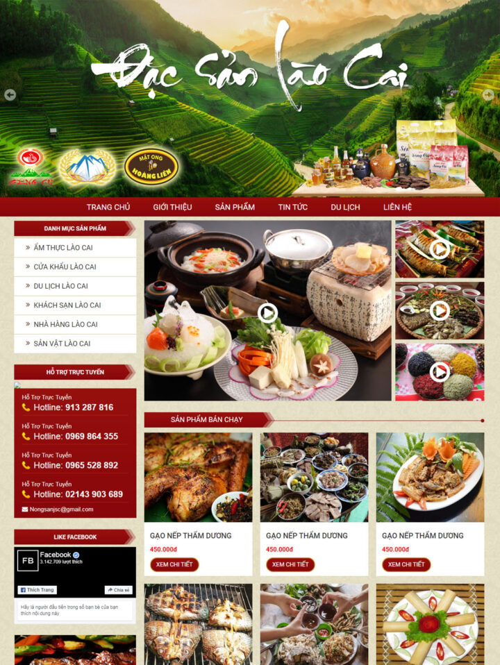 Mẫu web 037